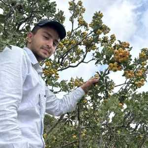 Hatayda Alic Hasadi Basladi Kilogram Fiyati 200 TL