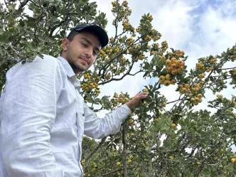 Hatayda Alic Hasadi Basladi Kilogram Fiyati 200 TL