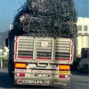 Hatayda Asiri Yuklu Tirin Tehlikeli Yolculugu Kamerada