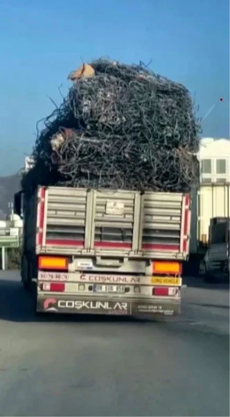 Hatayda Asiri Yuklu Tirin Tehlikeli Yolculugu Kamerada