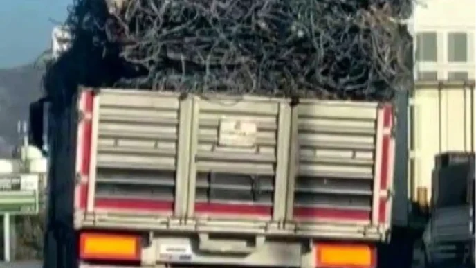 Hatayda Asiri Yuklu Tirin Tehlikeli Yolculugu Kamerada