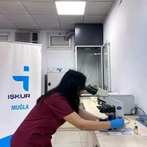 ISKUR 2025te Kadin Istihdaminda Onemli Artis Sagladi