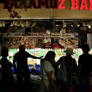 Istanbulda Balik Sezonu Acildi Hamsi ve Istavrit Bollugu