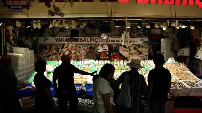 Istanbulda Balik Sezonu Acildi Hamsi ve Istavrit Bollugu
