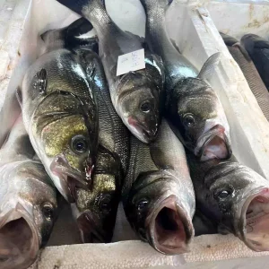 Izmirde Sabahlari Renkli Balik Mezati