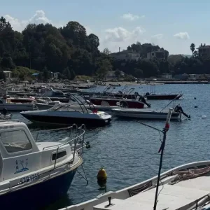 Karadenizde Hamsi Umutlari Artiyor Haberler