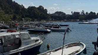 Karadenizde Hamsi Umutlari Artiyor Haberler