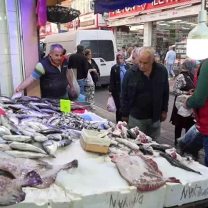 Karadenizde Olumsuz Hava Sartlari Balik Tezgahlarini Bos Birakti