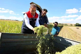 Karsta Silajlik Misir Hasadi Yuzde 75 Verim Artisi