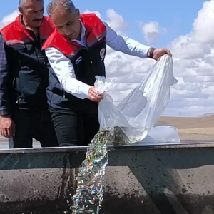Karstaki Gollere 500 Bin Yavru Sazan Birakildi