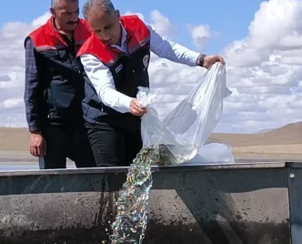 Karstaki Gollere 500 Bin Yavru Sazan Birakildi