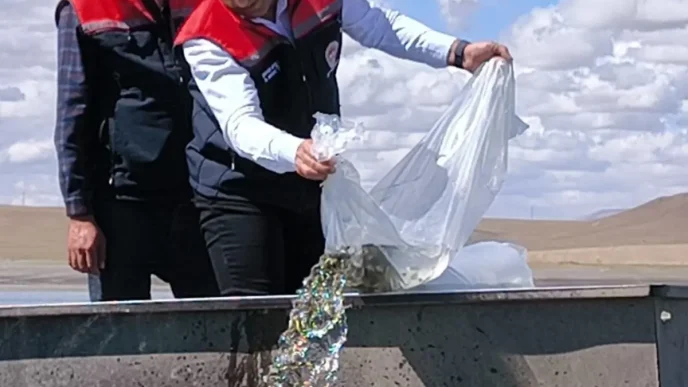 Karstaki Gollere 500 Bin Yavru Sazan Birakildi