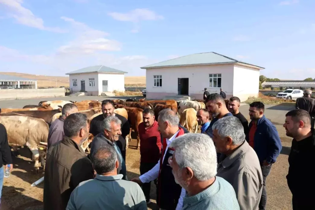 Karstaki Hayvan Pazari Yeniden Acildi