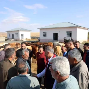 Karstaki Hayvan Pazari Yeniden Acildi