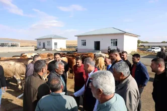 Karstaki Hayvan Pazari Yeniden Acildi