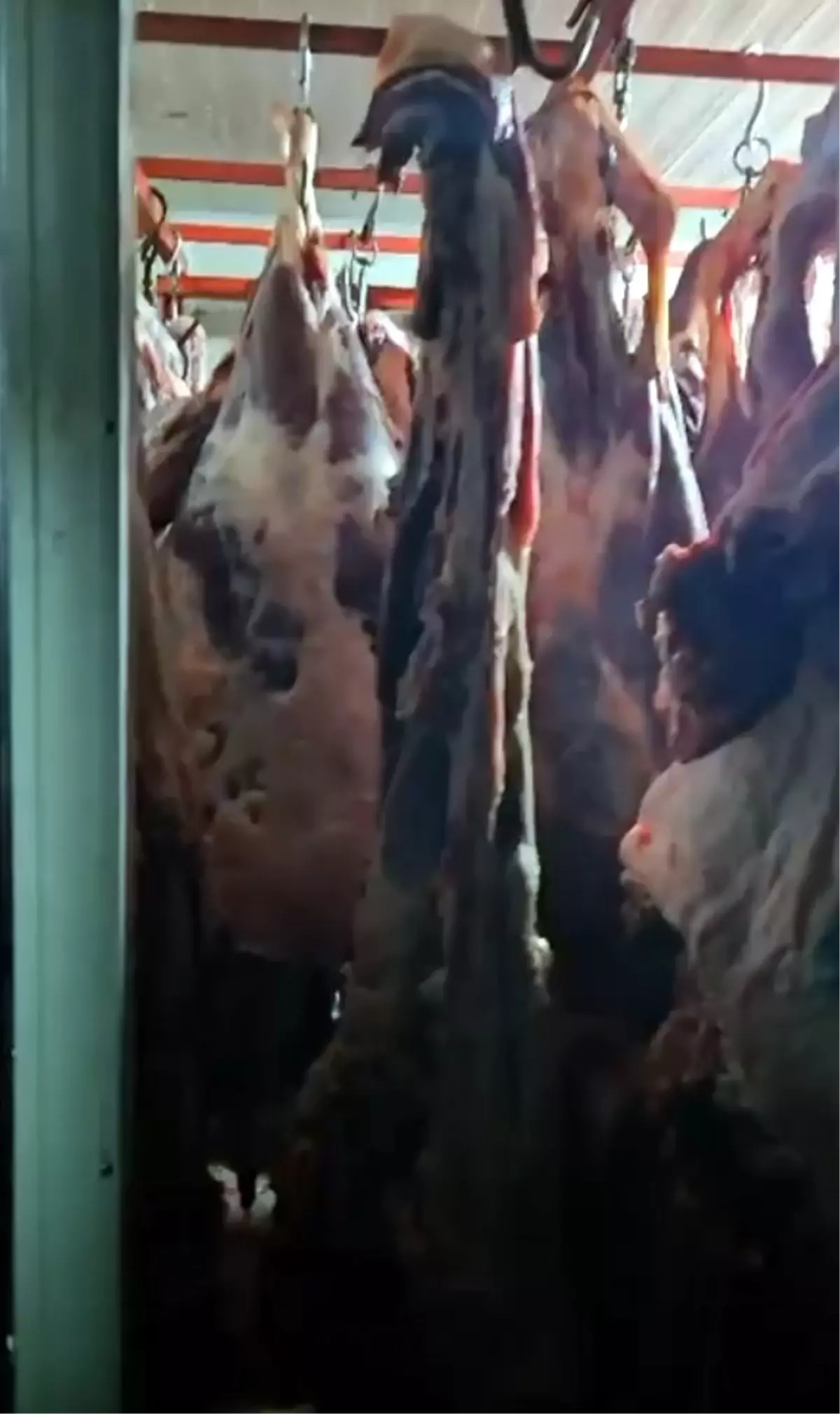 Kayseride Muhursuz Et Imha Edildi