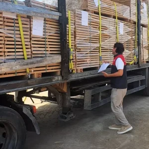 Kirklareli Ihracat Denetimleri ve Spor Sampiyonasinda Basarilar