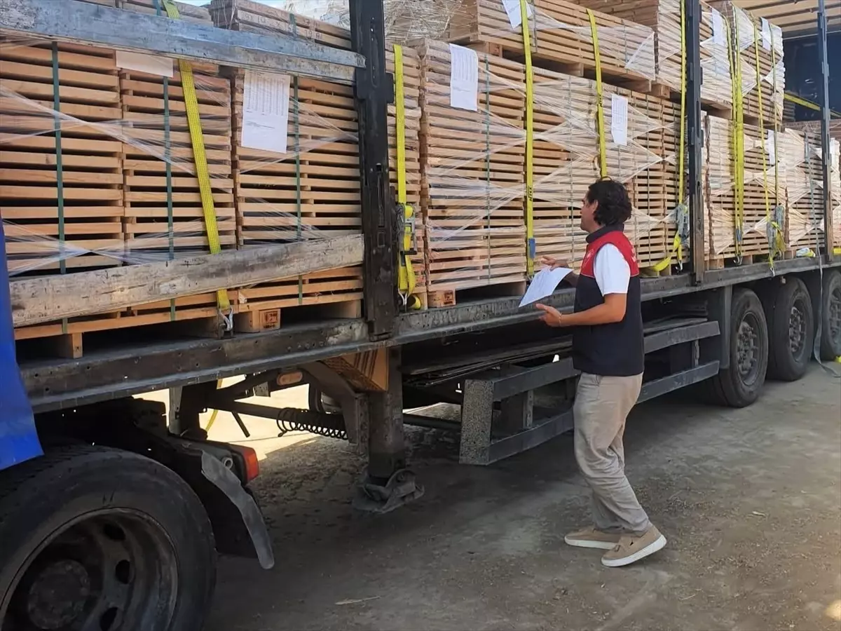 Kirklareli Ihracat Denetimleri ve Spor Sampiyonasinda Basarilar