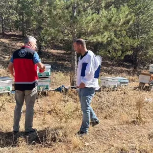Konya Beysehirde Arili Kovan Tespit Calismalari Basladi