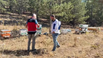 Konya Beysehirde Arili Kovan Tespit Calismalari Basladi