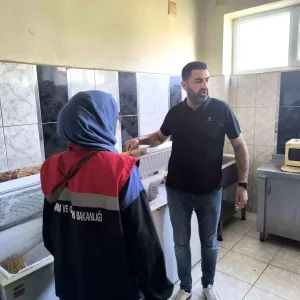 Koskte Gida Denetimleri Gerceklesti Haberler