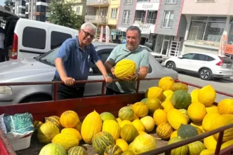 Kurucay Kavunlarinin Hasadi Basladi Haberler