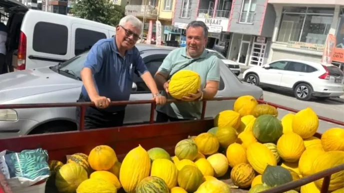Kurucay Kavunlarinin Hasadi Basladi Haberler