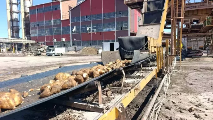 Malatya Seker Fabrikasi 2025 2026 Sezonunda 62 Bin Ton Seker Uretmeyi