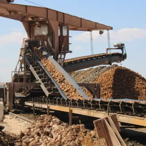 Malatya Seker Fabrikasinda 500 Bin Ton Pancar Islenecek