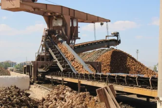 Malatya Seker Fabrikasinda 500 Bin Ton Pancar Islenecek