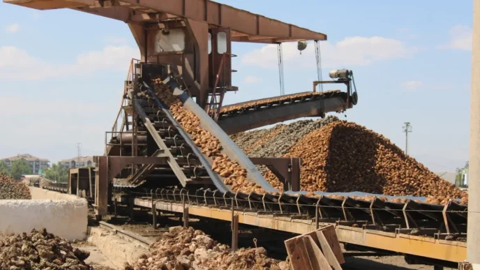 Malatya Seker Fabrikasinda 500 Bin Ton Pancar Islenecek
