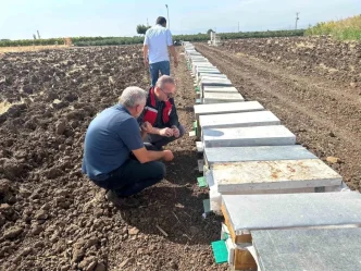 Manisada Ari Olumleri Inceleniyor Haberler