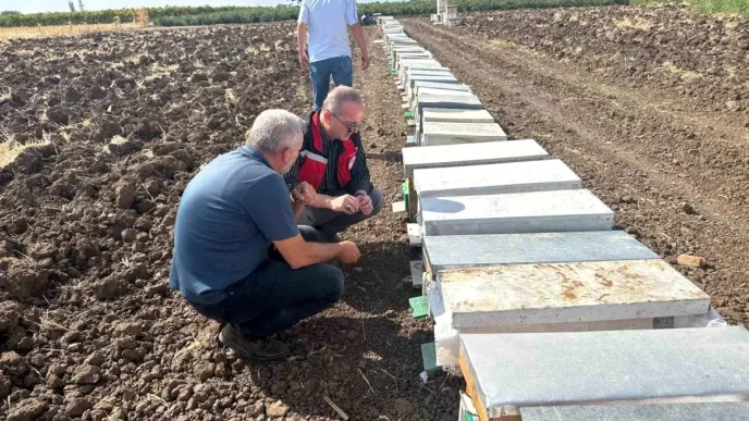 Manisada Ari Olumleri Inceleniyor Haberler