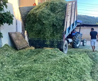 Manisada Ciftciler Slaj Yem Hazirligina Basladi