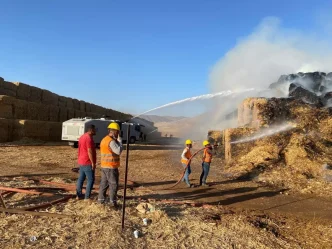 Mardinde Enerji Sirketine Ait Depoda Misir Balyasi Yangini