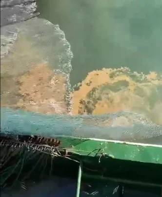 Marmara Denizinde Musilaj Tehdidi Balikcilari Endiselendiriyor