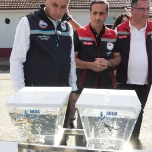 Mersin Baligi Uretiminde Yeni Hedefler