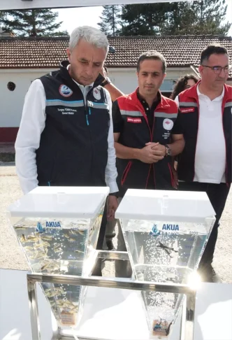 Mersin Baligi Uretiminde Yeni Hedefler