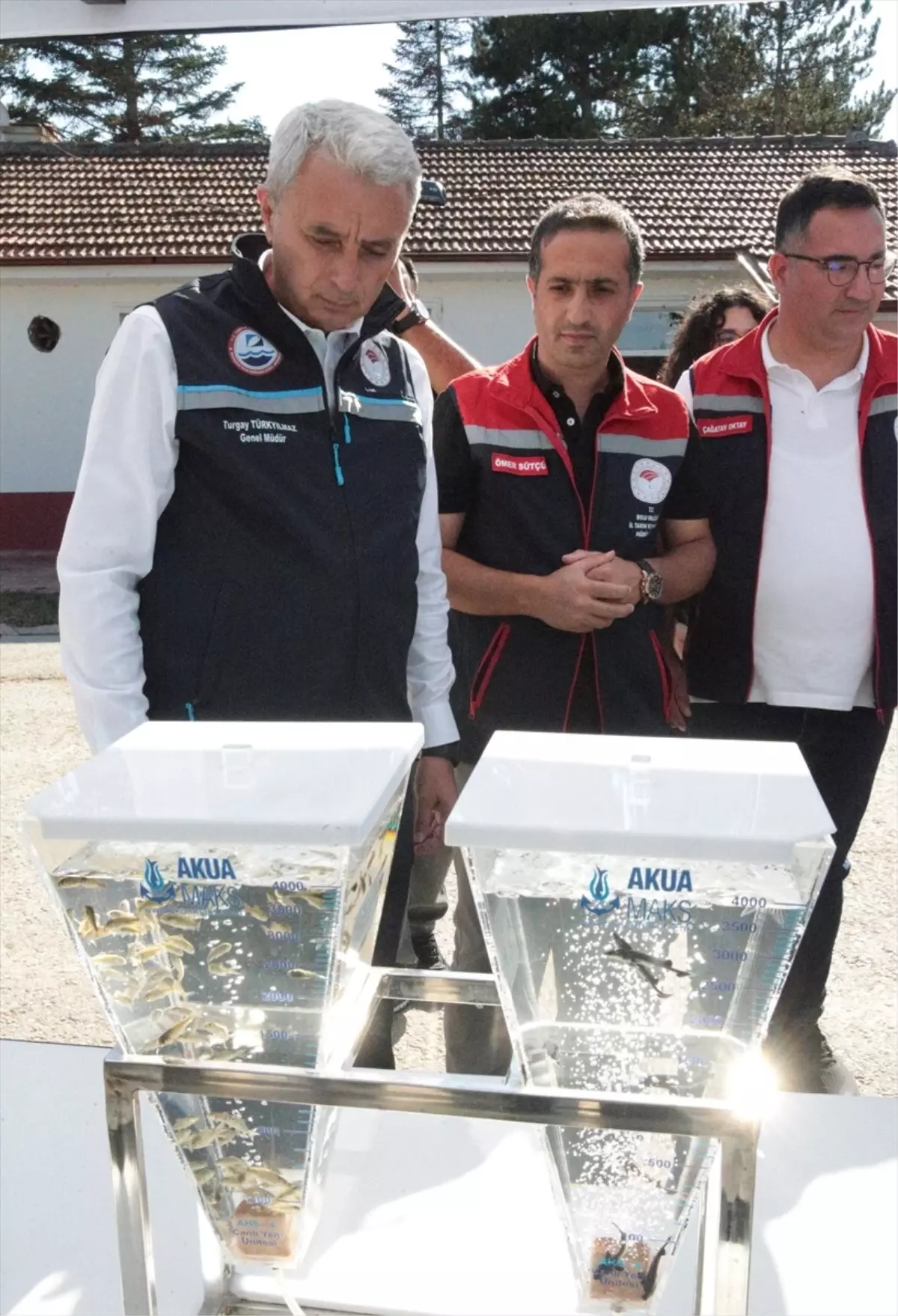 Mersin Baligi Uretiminde Yeni Hedefler