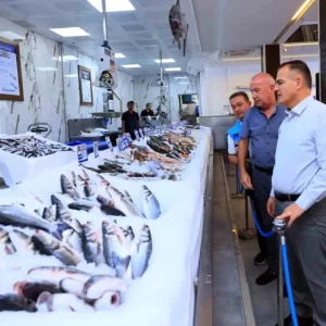 Mugla Su Urunleri Sektoru 2024te Ihracatla 625 Milyon Dolar Gelir