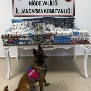Nigdede Kacak Sigaraya Gecit Yok 3 Bin 606 Paket Ele
