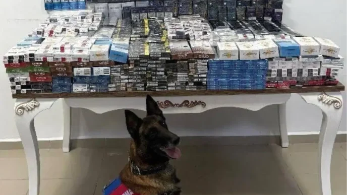 Nigdede Kacak Sigaraya Gecit Yok 3 Bin 606 Paket Ele