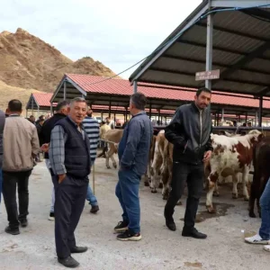 Oltu Canli Hayvan Pazari Yeniden Acildi