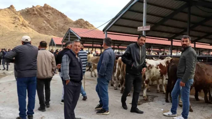 Oltu Canli Hayvan Pazari Yeniden Acildi