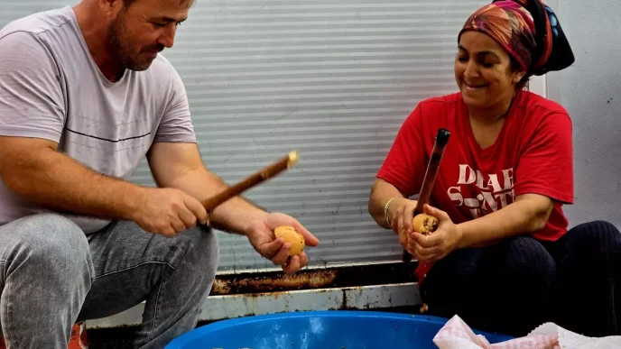 Samandagda Nar Eksisi Gelenegi Devam Ediyor