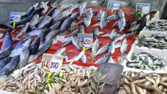 Samsunda Balik Tezgahlari Senlendi Hamsi Bol Olacak