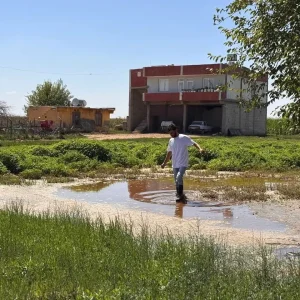 Sanliurfa Suructa Taban Suyunun Yukselmesi Tarim Arazilerini Tehdit Ediyor