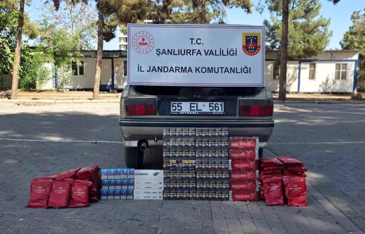 Sanliurfada Jandarma Kacak Tutun Operasyonu