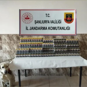 Sanliurfada Jandarma Sigara Kacakciligi Operasyonu