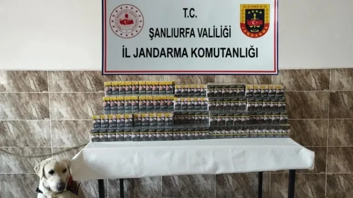 Sanliurfada Jandarma Sigara Kacakciligi Operasyonu